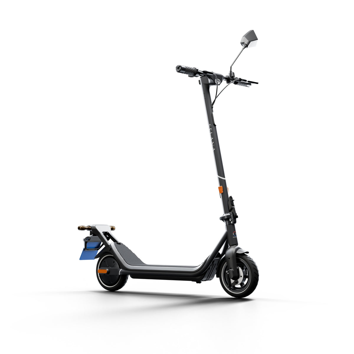 SELANA NOVA (Pre-Order)